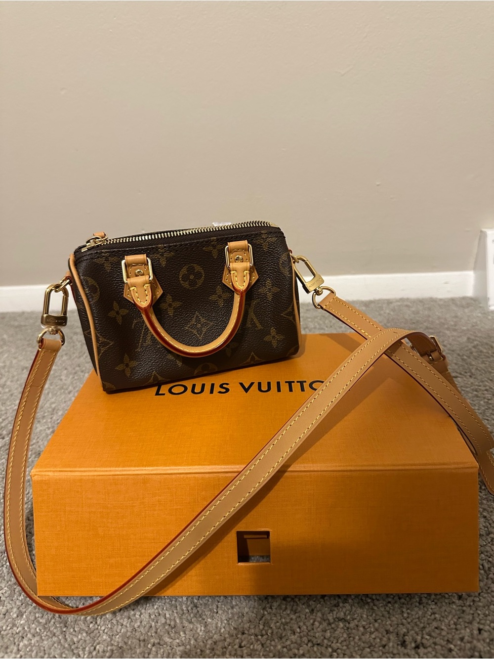 Louis Vuitton Nano Speedy
